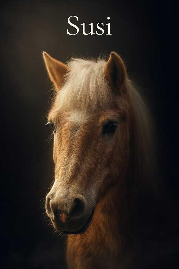 Susi
